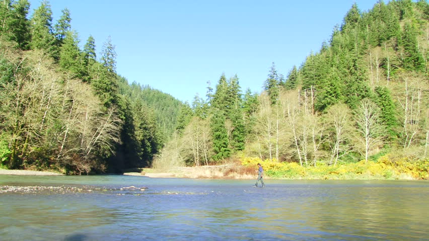 Man fly fishing on water's edge in forest during autumn season.