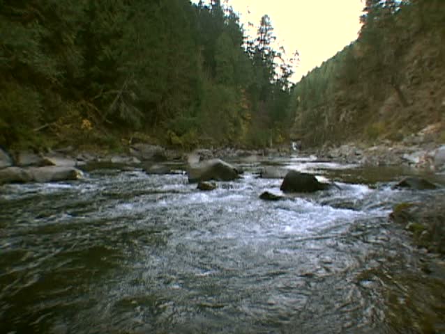 Oregon scenic of river in lush forest.