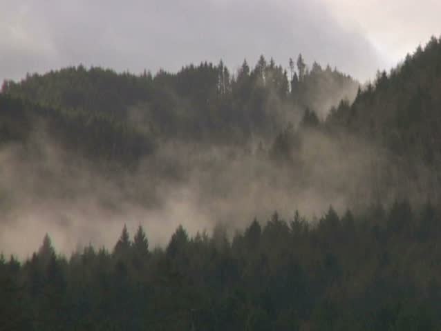 Fog rolls over mountainous forest along the Oregon coastal range.