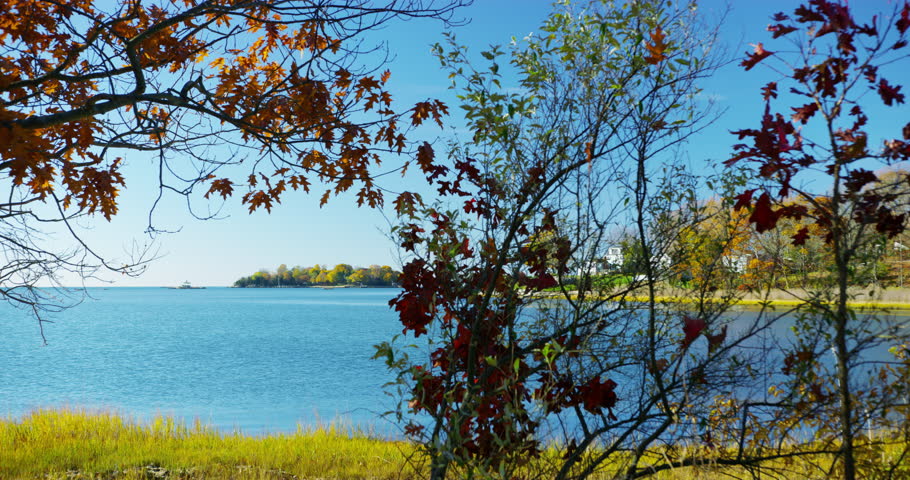 Leaves changing color in a small coastal New England Town.