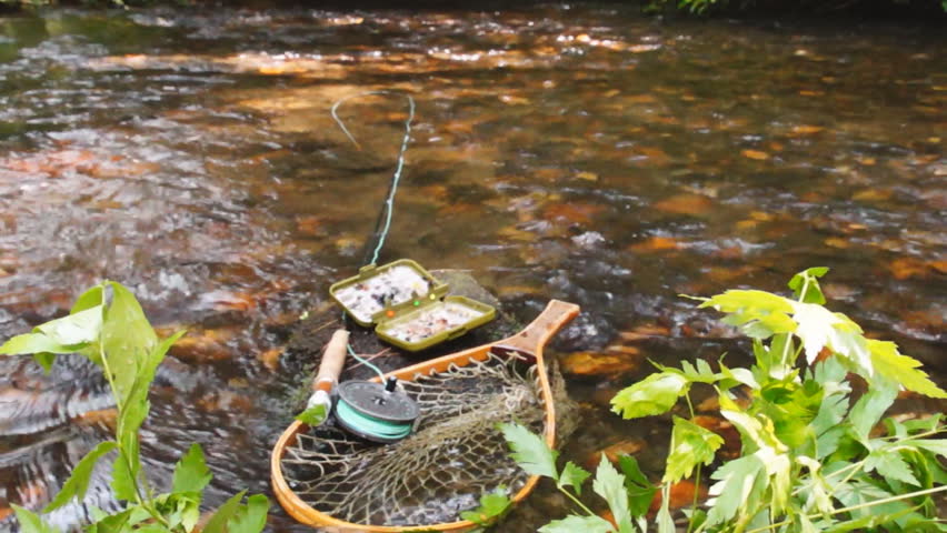 Fly fishing for trout