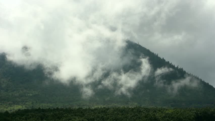 Clouds Coming Over the Forest 1