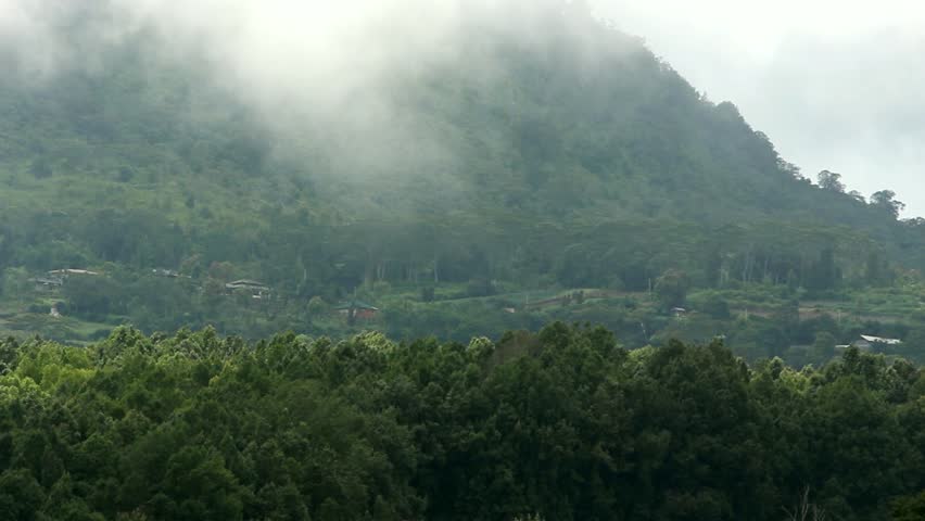 Fog Above the Forest - Clouds Coming Quickly Over The Forest in Bali, Indonesia