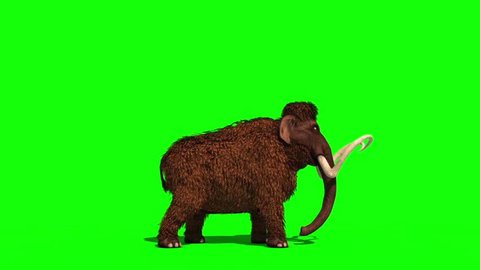 Mammoth Attacks Side Prehistoric Animal Jurassic Stock Footage Video ...