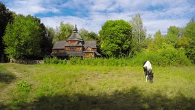 Horse grazes in a pasture with an old fashioned. wooden church behind an antique rock wall in Ukraine. Eastern Europe. UHD 4k