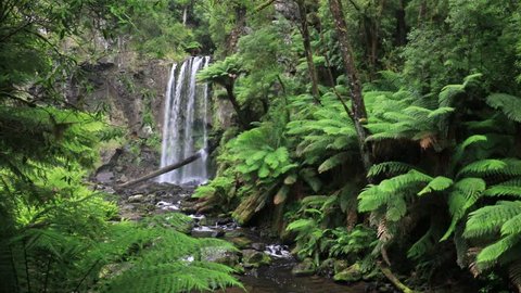 Hopetoun Falls in The Otways, Victoria, Australia