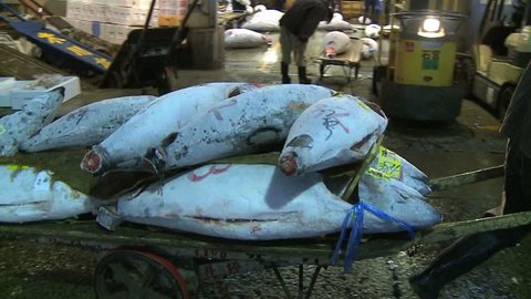 TOKYO, JAPAN - CIRCA 2008: load of Tsukiji auction tuna passing on cart