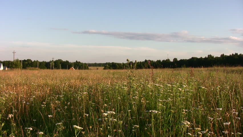couple in field 