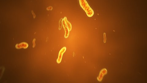 Animated Brown Bacteria in Plasma
