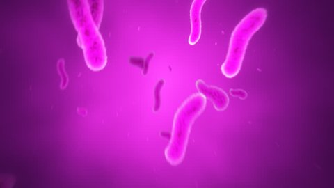 Animated Purple Bacteria in Plasma
