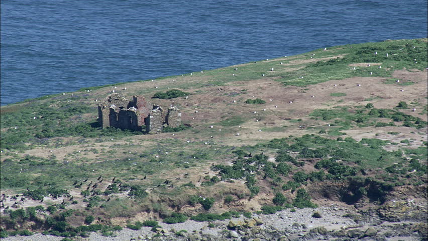 Coast And Saltee Island On Irish Sea