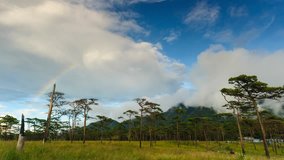 Timelapse, cloudscape  and rainbow after rain in rainforest, Phu Soi Dao National Park, Uttaradit Province Thailand.