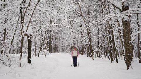 Elderly woman is engaged in a new type of sports walking in winter snow-covered wood. Active pensioner   in Nordic ,   sport for her. Walk with special sticks in their hands.