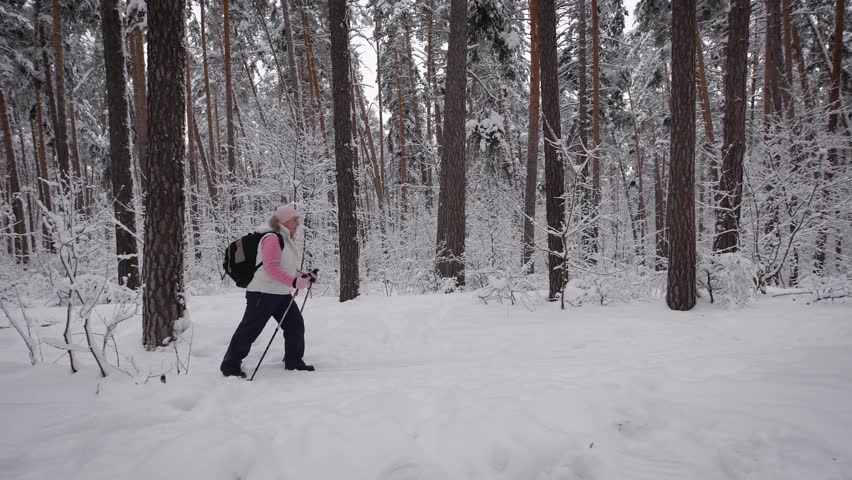 Side view of active woman with rucksack doing nordic walking in the forest. Retired lady stepping quickly with ski poles on the path in winter nature outdoors demonstrating healthy lifestyle.