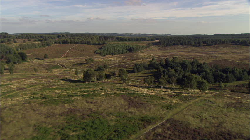 Cannock Chase