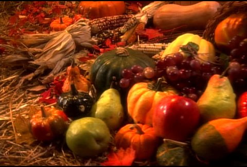 Harvest time fruits and vegetables Video Stok