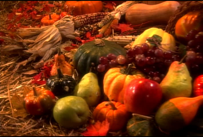 Harvest time fruits and vegetables