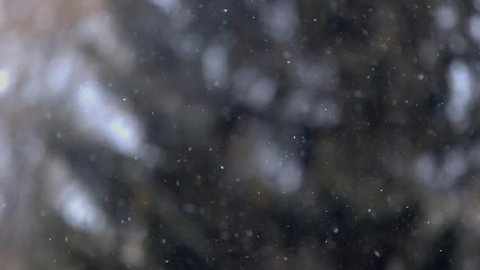 Close up view of snow falling in front of trees out of focus