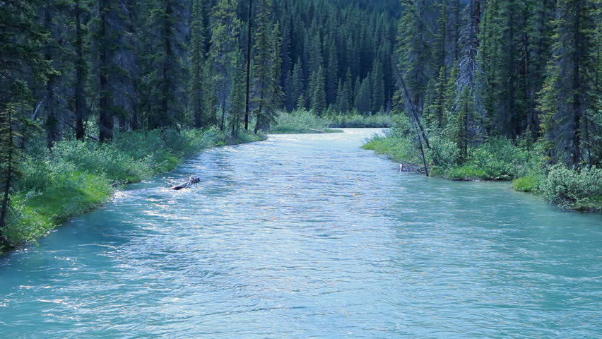 River and valley forest and mountain in Kootenay National park, Banff National Park in British Columbia, Canada.