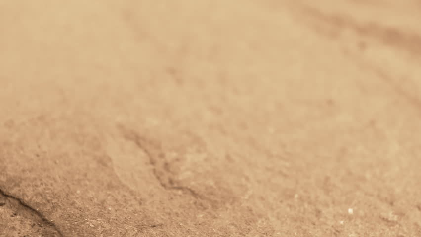 Sheriff badge and bullet cases on stone. Macro shot.