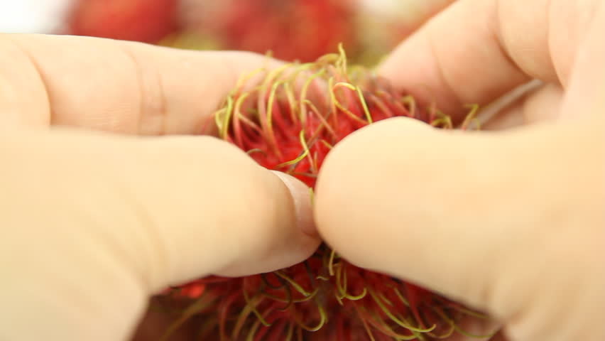 Opening the Rambutan