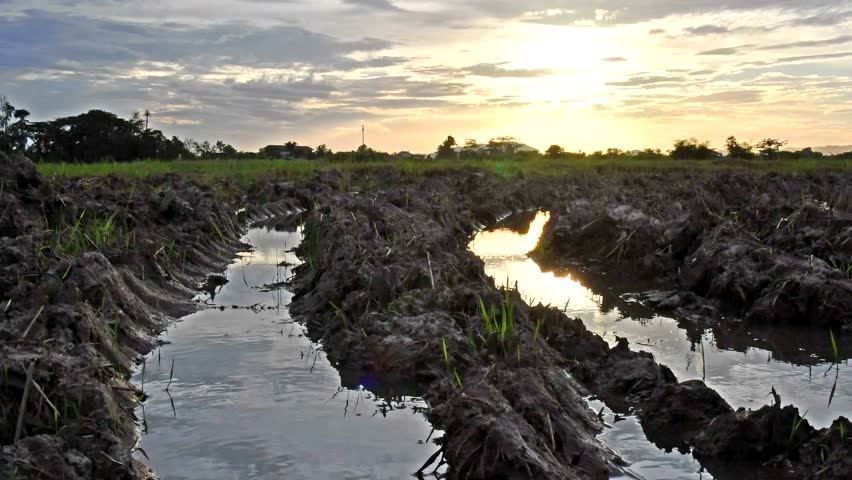 Motion controlled panning time lapse clip of moving clouds at sunset over fields. Lens flare effect from the sun. Soft focus