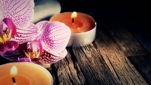 Saffron Flower White Bowl Stock Photo 1382879759 | Shutterstock