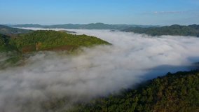 Aerial view of the fog