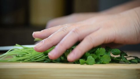 Close-up of professional chef's hands using knife to chop small bunch coriander for cooking & garnish