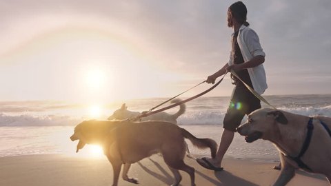 4k Happy man young running/walking with dogs on beach lifestyle steadicam shot at sunrise with sun flare.