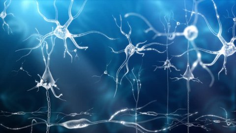 Conceptual animation showing neuronal activity in the human brain.