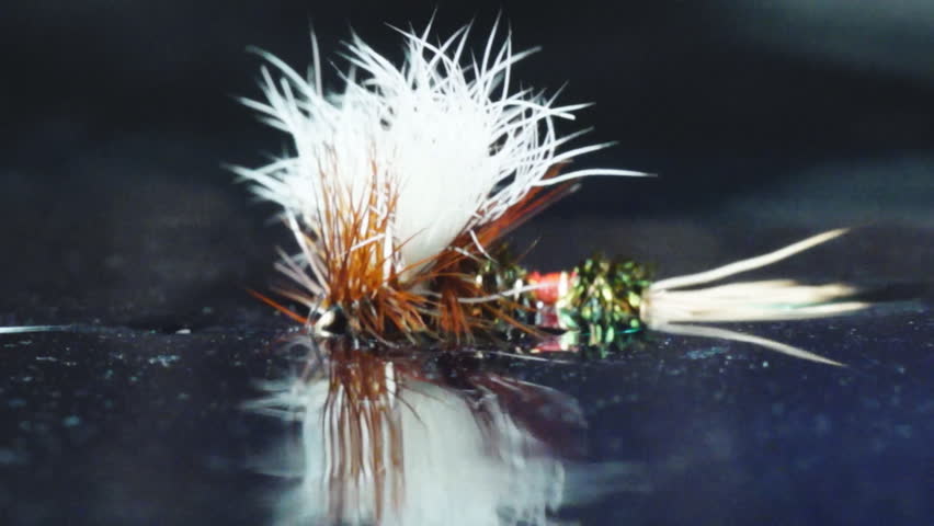 Dry Fly floating on water