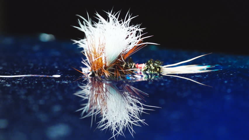 Fly fishing dry flies floating on water