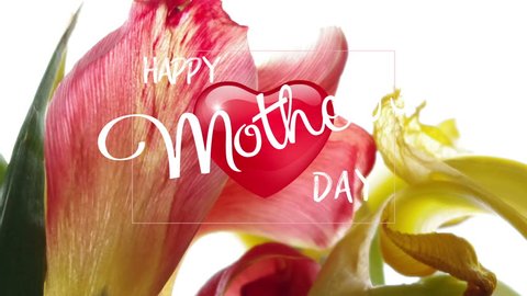  Happy Mothers Day. Card with beautiful flowers.
