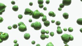 Field of floating round zucchini on a white background. This video is a 3d animation and seamlessly loops.