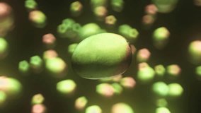 Mango floating in space on a background of bokeh against black. This video is a 3d animation and seamlessly loops.