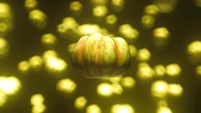Sweet Dumpling Squash floating in space on a background of bokeh against black. This video is a 3d animation and seamlessly loops.