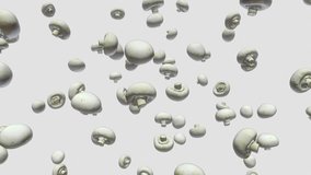 Field of floating button mushrooms against a white background. This video is a 3d animation and seamlessly loops.