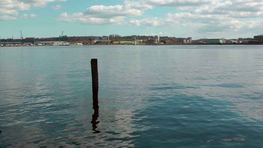 Kiel Canal panning, Germany, seagull resting on wooden pillar