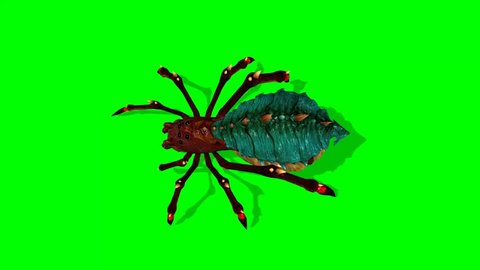 monster spider walks animation - green screen 