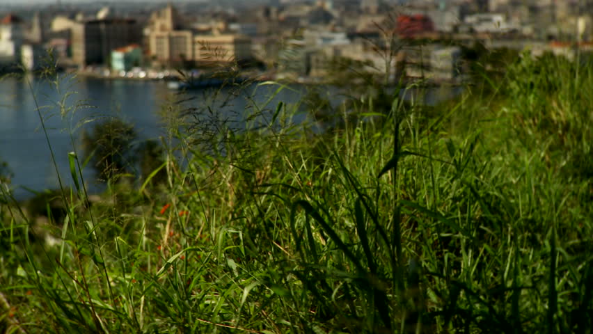Havana, Cuba - CIRCA December 2009: View of green grass to various city