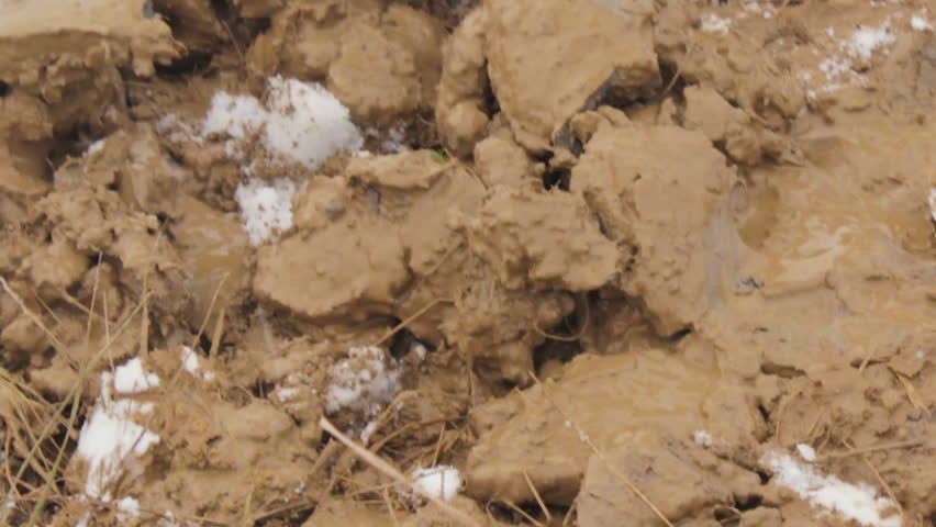 The auger on a portable drilling rig and soils. Geology. Close up