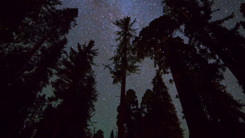 Astrophotography timelapse low angle shot with zoom out motion of starry sky through Giant Sequoia at Grant Grove in Kings Canyon National Park, California