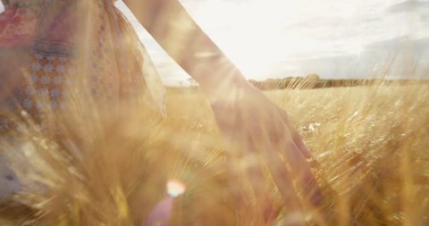 Close-up of woman's hand running through organic wheat field, steadicam shot. Slow motion. Girl's hand touching wheat ears closeup. Sun lens flare. Sustainable harvest concept.