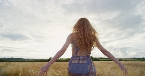 Rear view of Red Hair woman running cross  wheat field at sunset.Slow motion hands touching organic cereal crop