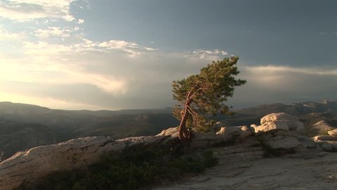 A view from top of Sentinel Dome in Yosemite National Park, California, zoom in.	 Format: NTSC HDV Compression: MotionJPEG-A Camera: Sony HVR-Z1U Size: 1080i (1920 x 1080) Sound: No