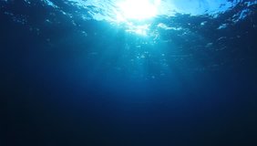 Underwater ocean background footage in blue sea
