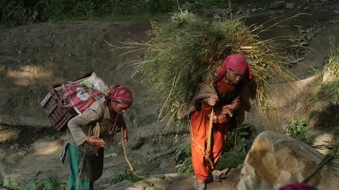 MANALI, INDIA - 24 SEPT 2016: Indian country womans carry a heavy load to the village