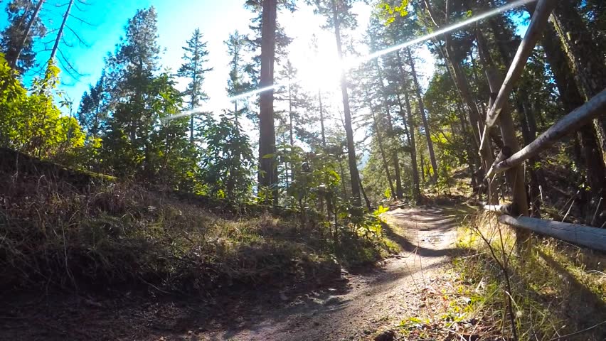 A montain biker going through some beautiful scenery in slomo