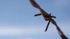 Old protective rangeland fence swings on the wind 3840X2160 UltraHD tilting footage - Slow tilt on rusty barbed wire against blue sky2160p 30fps UHD video